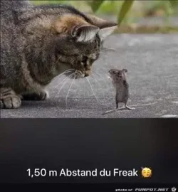 funpot0000564701_x300_y000.webp funpot0000564701_x300_y000.webp