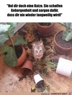 funpot0000568652_x300_y000.webp