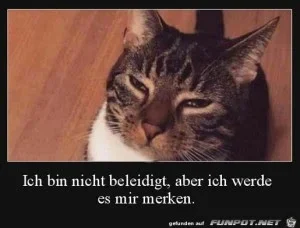 funpot0000578581_x300_y000.webp