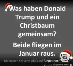funpot0000586783_x250_y224.webp