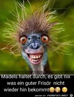 funpot0000596810_x300_y000.webp funpot0000596810_x300_y000.webp