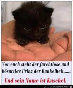 funpot0000599794_x300_y000.webp funpot0000599794_x300_y000.webp