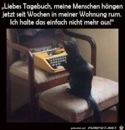 funpot0000602873_x300_y000.webp funpot0000602873_x300_y000.webp
