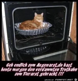 funpot0000545639_x300_y000.webp funpot0000545639_x300_y000.webp