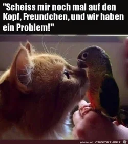 funpot0000624237_x300_y000.webp