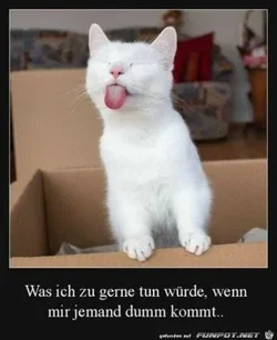 funpot0000612434_x300_y000.webp