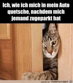 funpot0000630930_x300_y000.webp