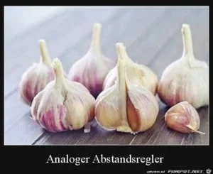 funpot0000634473_x300_y000.webp