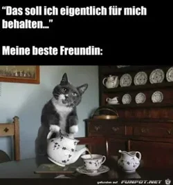 funpot0000642167_x300_y000.webp funpot0000642167_x300_y000.webp