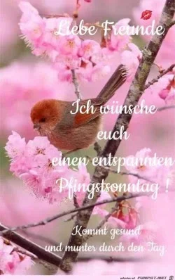 funpot0000508067_x250_y398.webp funpot0000508067_x250_y398.webp