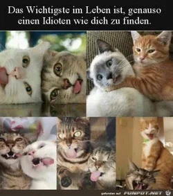 funpot0000650363_x300_y000.webp
