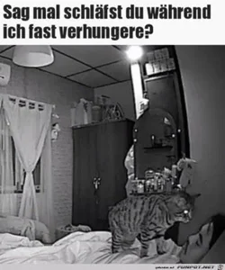 funpot0000657413_x300_y000.webp