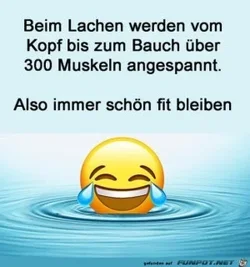 funpot0000605268_x300_y000.webp