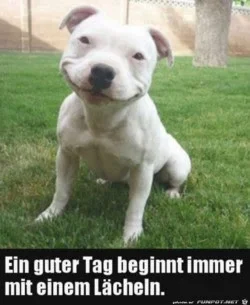 funpot0000637353_x250_y305.webp