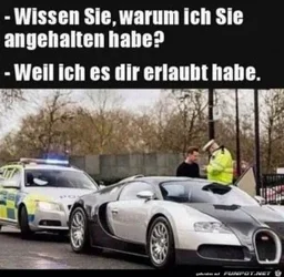 funpot0000650069_x300_y000.webp