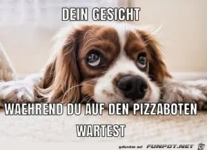 funpot0000630659_x300_y000.webp