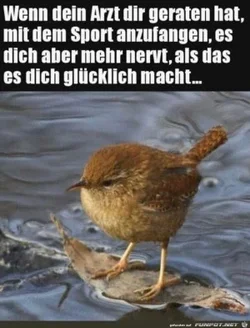 funpot0000654987_x300_y000.webp funpot0000654987_x300_y000.webp