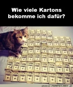 funpot0000661935_x300_y000.webp funpot0000661935_x300_y000.webp