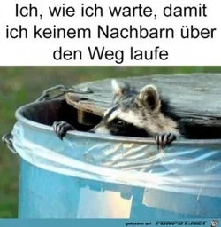 funpot0000677310_x300_y000.webp