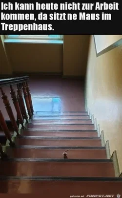 funpot0000677723_x300_y000.webp funpot0000677723_x300_y000.webp