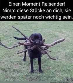 funpot0000671795_x300_y000.webp funpot0000671795_x300_y000.webp