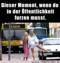 funpot0000681398_x300_y000.webp