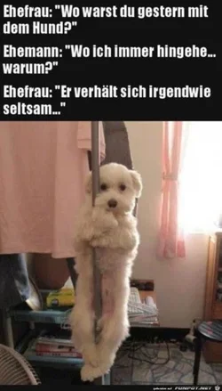 funpot0000695054_x300_y000.webp funpot0000695054_x300_y000.webp