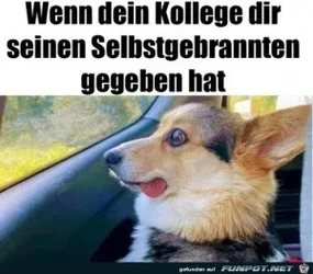 funpot0000692237_x300_y000.webp