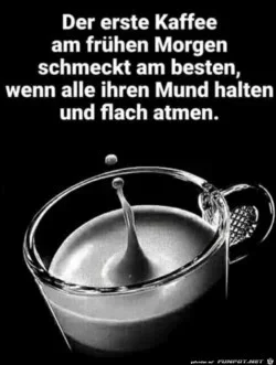 funpot0000701654_x250_y331.webp