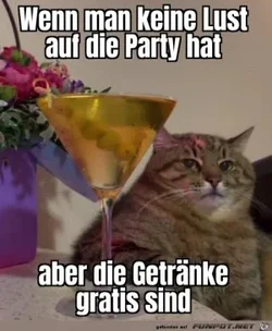 funpot0000707174_x300_y000.webp