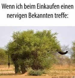 funpot0000713550_x300_y000.webp