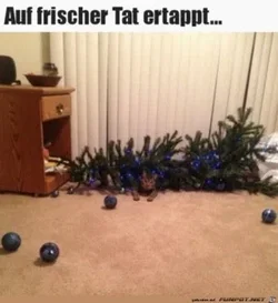 funpot0000720544_x300_y000.webp funpot0000720544_x300_y000.webp