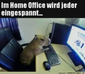 funpot0000719469_x300_y000.webp