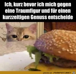 funpot0000685519_x300_y000.webp