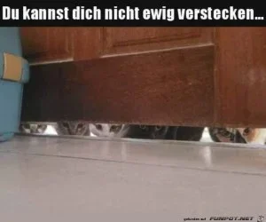 funpot0000750942_x300_y000.webp funpot0000750942_x300_y000.webp