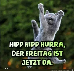 funpot0000704987_x250_y237.webp