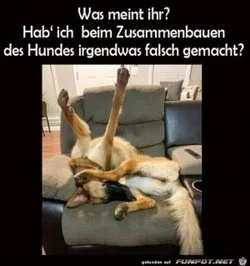 funpot0000768735_x300_y000.webp