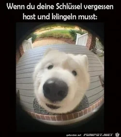 funpot0000769185_x300_y000.webp