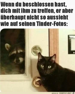 funpot0000779609_x300_y000.webp