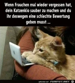 funpot0000784949_x300_y000.webp