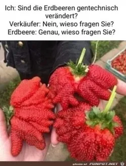 funpot0000791856_x300_y000.webp