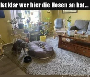 funpot0000790988_x300_y000.webp
