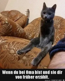 funpot0000787582_x300_y000.webp