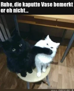 funpot0000801212_x300_y000.webp