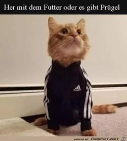 funpot0000795872_x300_y000.webp