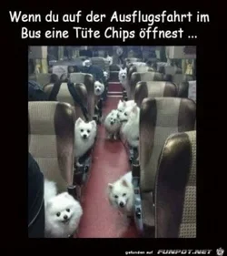funpot0000815123_x300_y000.webp