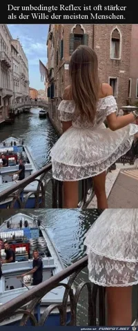 funpot0000820161_x300_y000.webp