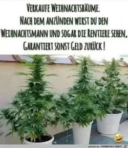 funpot0000853999_x300_y000.webp