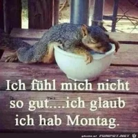funpot0000248055_x250_y250.webp