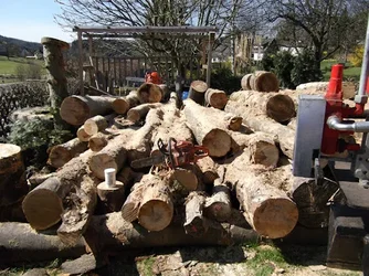 DSCF0382_kl.webp